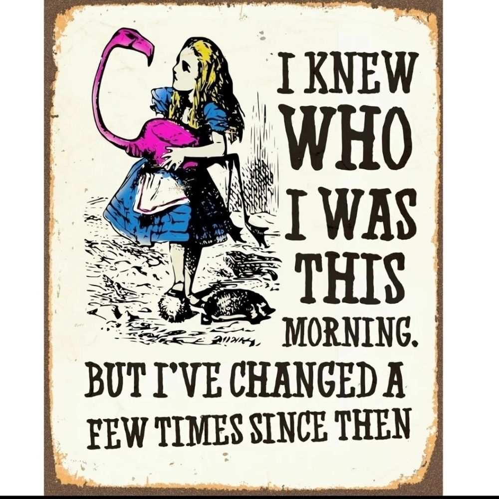 ALICE in Wonderland, i knew who I was tin the wall sign
